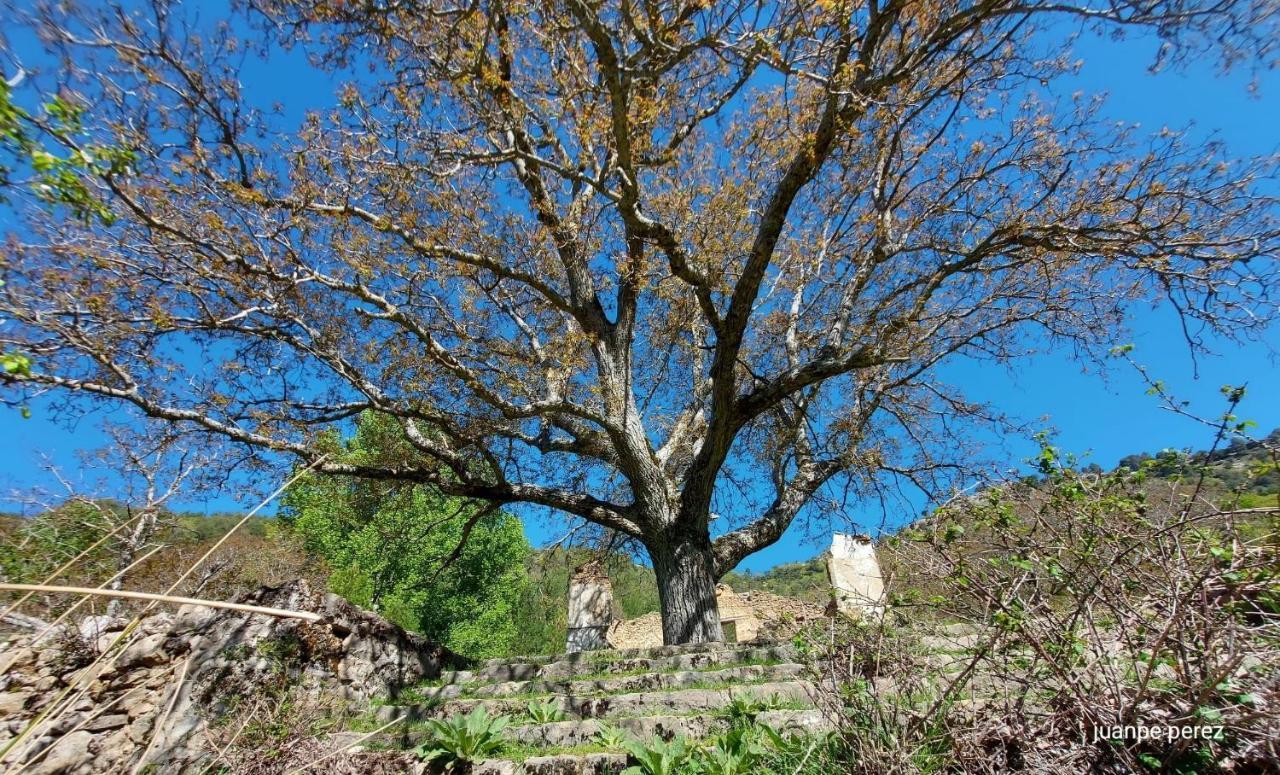 Villa Forastera Arroyo Frio Bagian luar foto